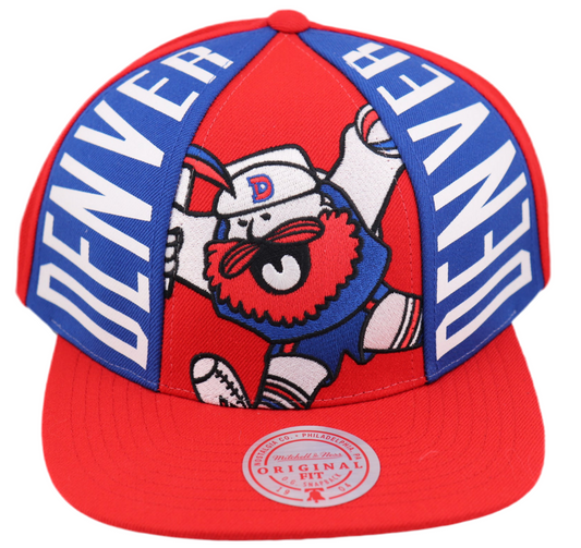 Denver Nuggets Cap