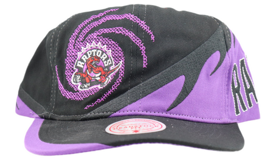 Toronto Raptors Cap