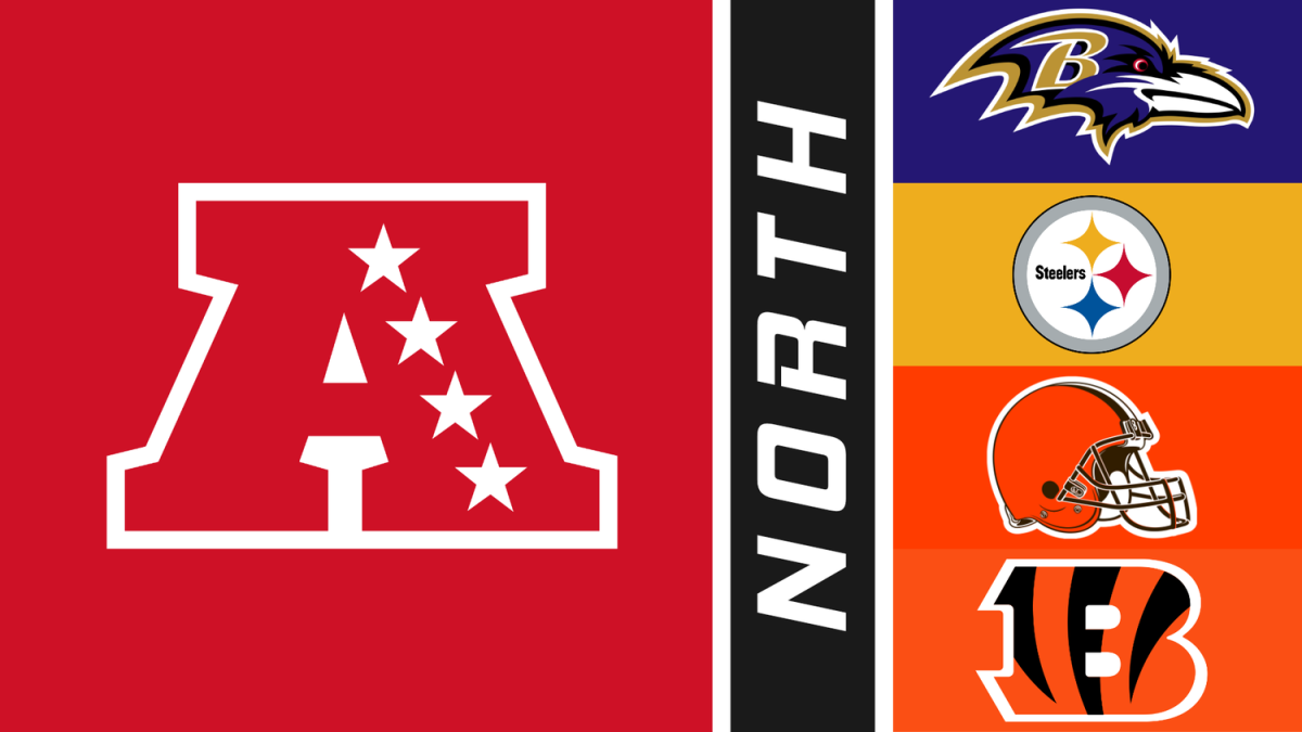 NFL DIVISIONAL BREAK